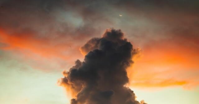 pexels-andrew-jones-7867341