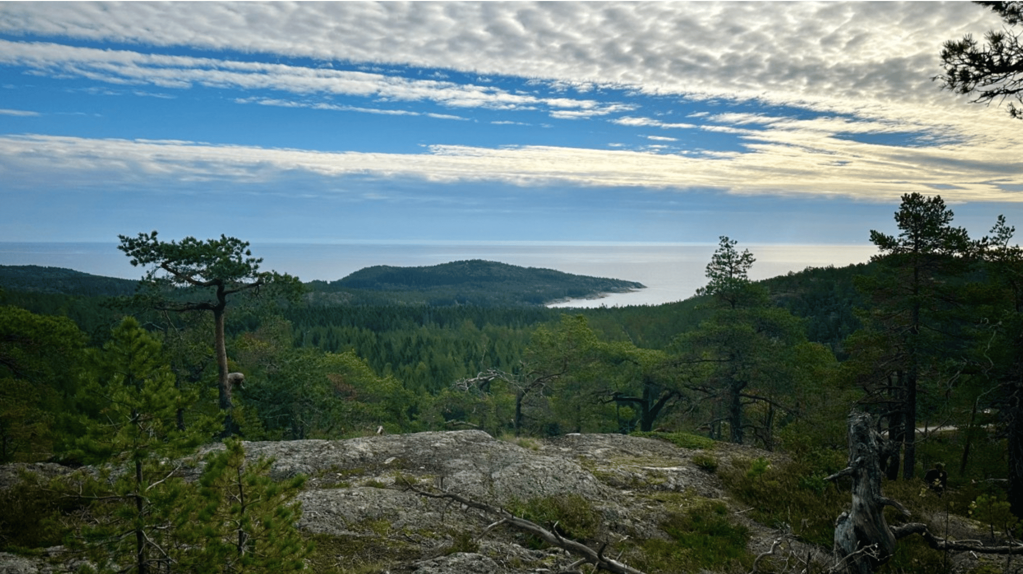 Author: Johan Nodén, Data Architect and Advisor @ Random Forest